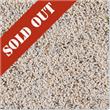Arama  Arama Carpet Tile<br>Coral White
Coral White / 2' x 2'