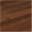 Jasper Northern Birch Mistral Collection
Espresso / Northern Birch / Builders / 3 1/4"