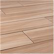 Kaska Porcelain Tile - Aztec Series
Bone / 6"x24"