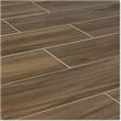 Kaska Porcelain Tile - Aztec Series
Brown / 6"x24"