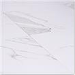 Takla Porcelain Tile - Marble Series - Made in USA
Statuario Extra / Various Sizes