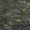 Green Granite Countertop