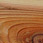 Cedar and Exotics