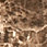 Marble Tile