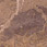 Slate Tile